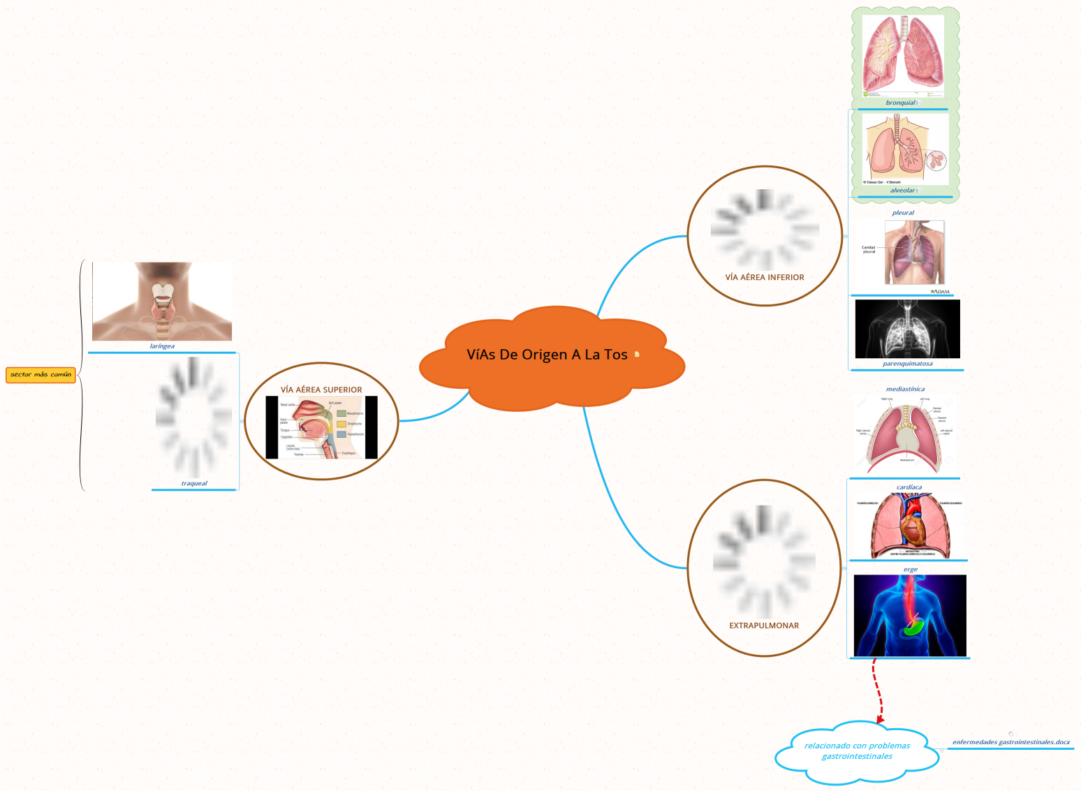 Vías de origen a la tos 