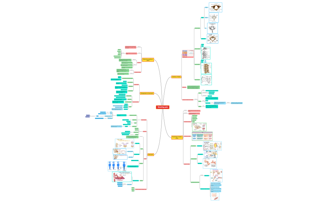_Shooting_painQAjjVEXokqdVO06967u2WMmxkgTobQx67895nFLCrjB1iriEs99360-XVQegP-3t4vHLQ-23064
