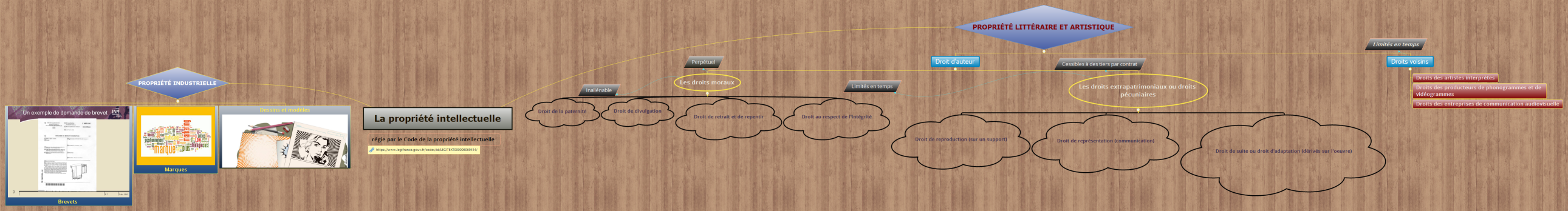 La propriété intellectuelle