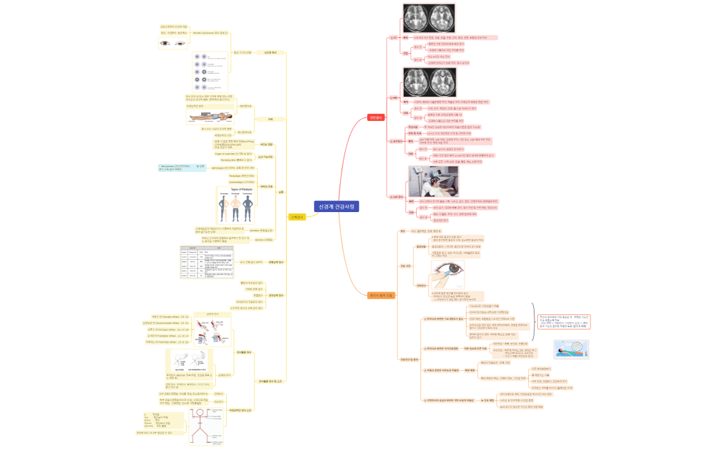 신경계 건강사정