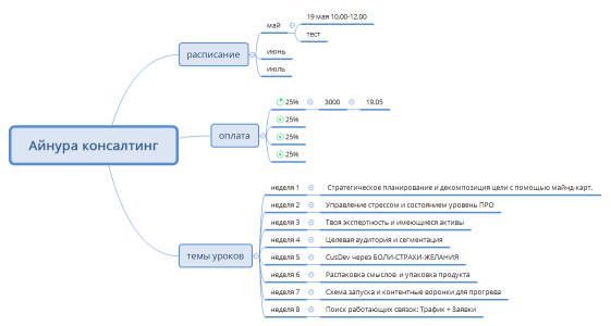 Айнура консалтинг