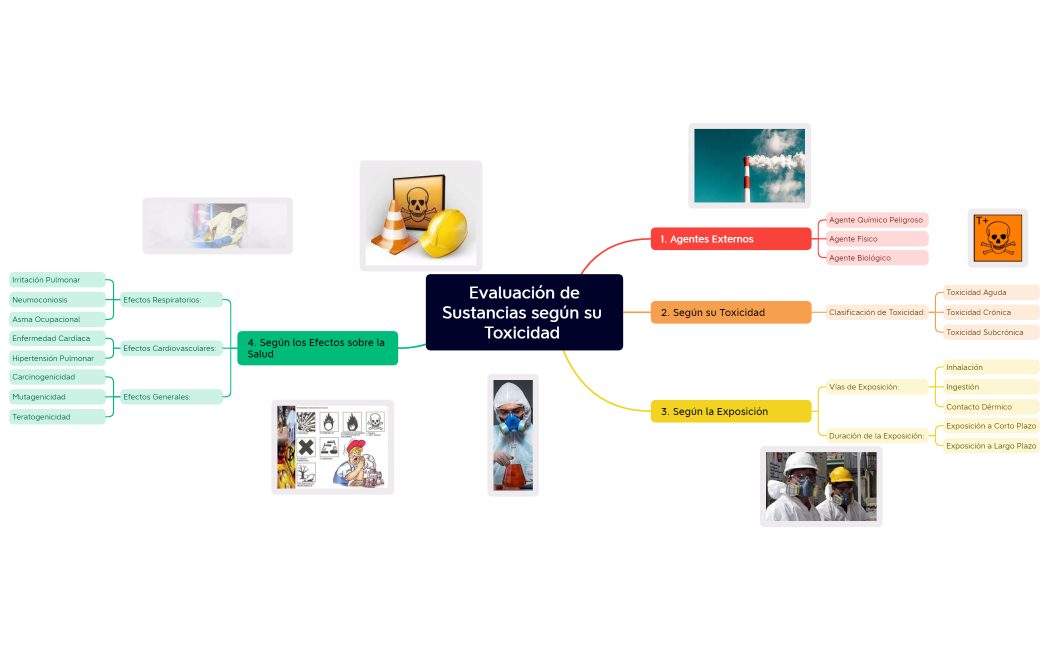 mapa mental toxicidad