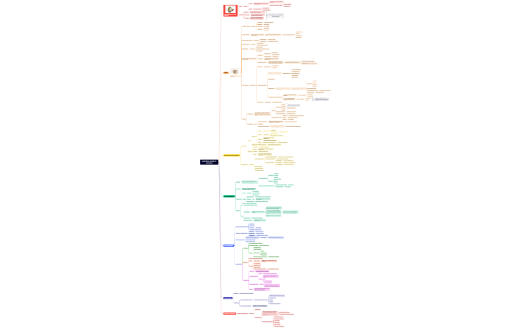 ANATOMIA MAXILLO FACCIALE