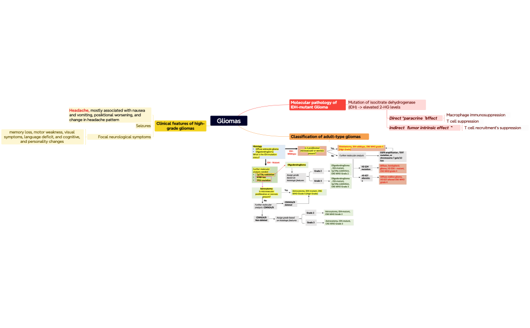 CNS_Part_II-utXHza-a3yMvOT-32746