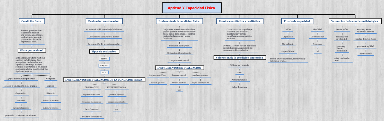 APTITUD Y CAPACIDAD FISICA 