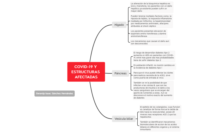 Glándulas frente a covid