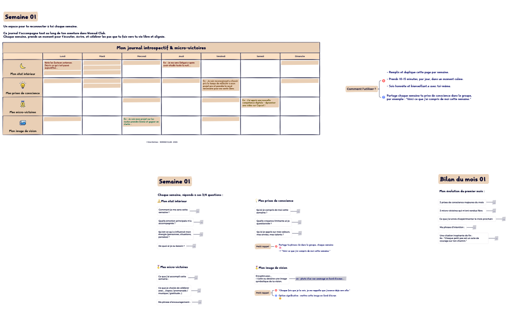 Mon journal introspectif & micro-victoires