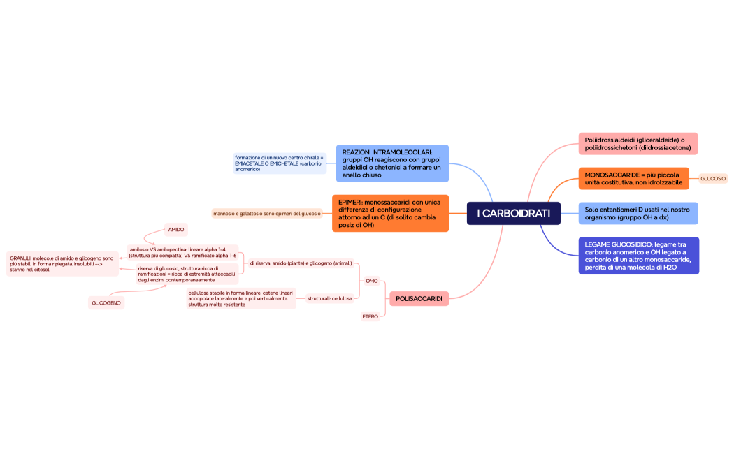 I CARBOIDRATI
