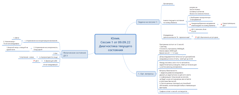 Юлия. Сессия 1 от 09.09.22 Диагностика текущего состояния
