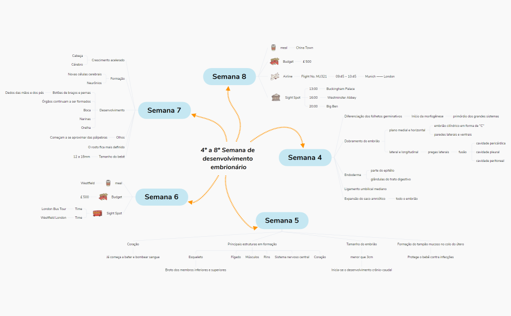 4_a_8_Semana_de_desenvolvimento_embrionriohiqekbmjYDvkL02847-eVszAK-fb1jtZJ-98722