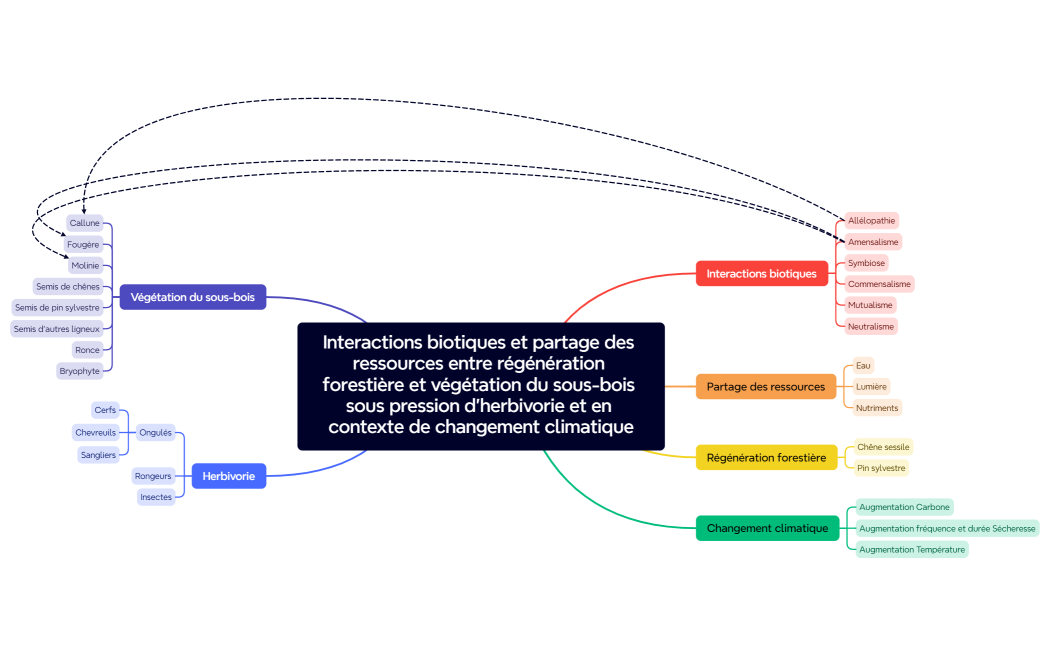 Interactions biotiques et partage des ressources entre régénération forestière et végétation du sous-bois sous pression d'herbivorie et en contexte de changement climatique