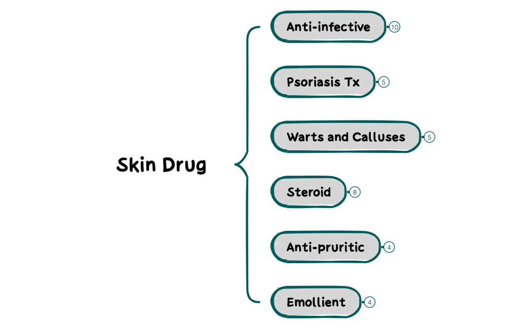 Integumentary System