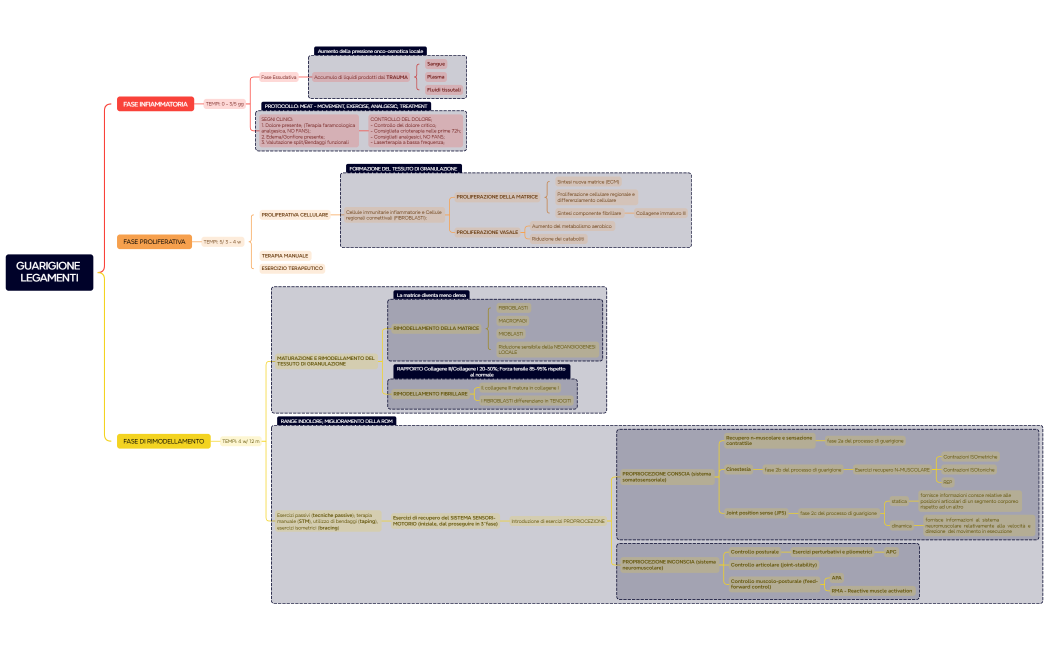 GUARIGIONE LEGAMENTI