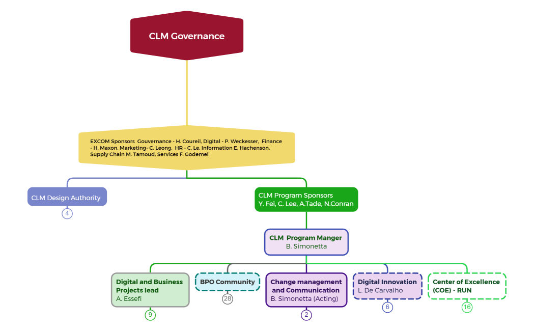 CLM Governance