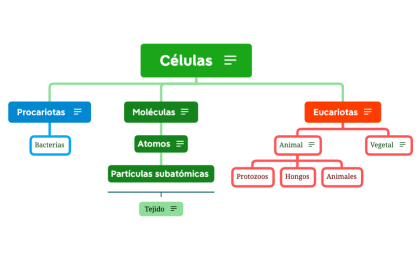 Estructura de la empresa