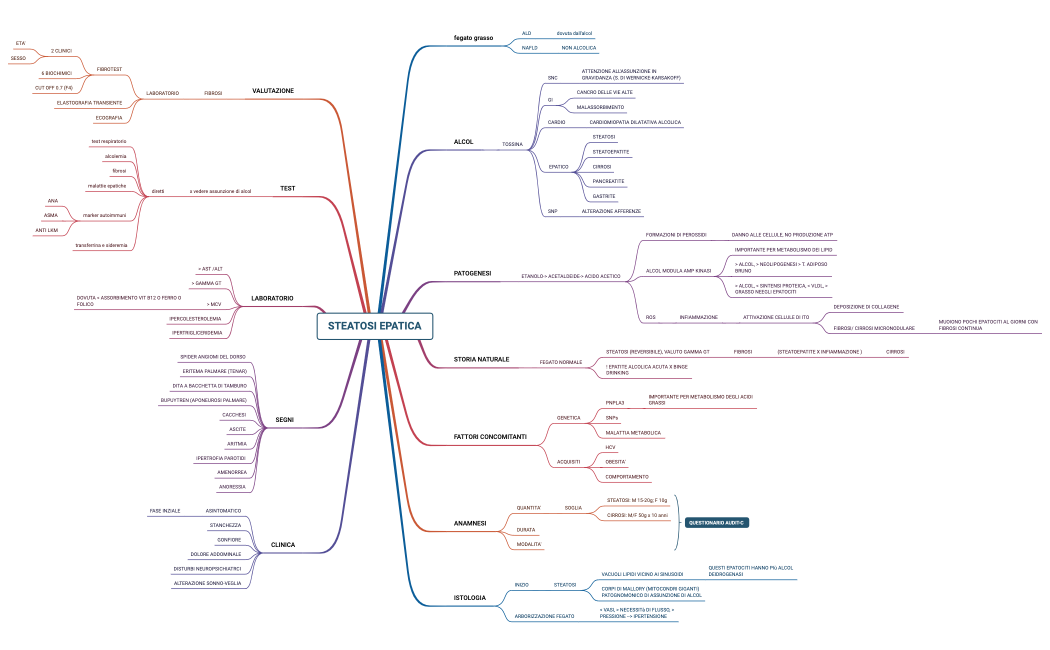 STEATOSI EPATICA.xmind