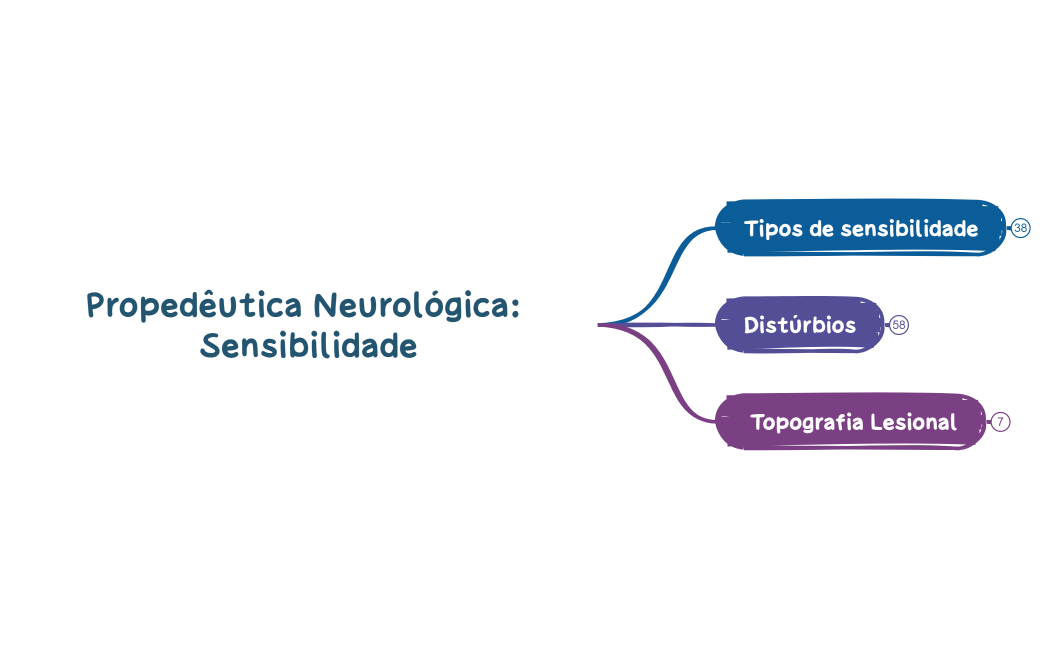 Propedêutica Neurológica Sensibilidade