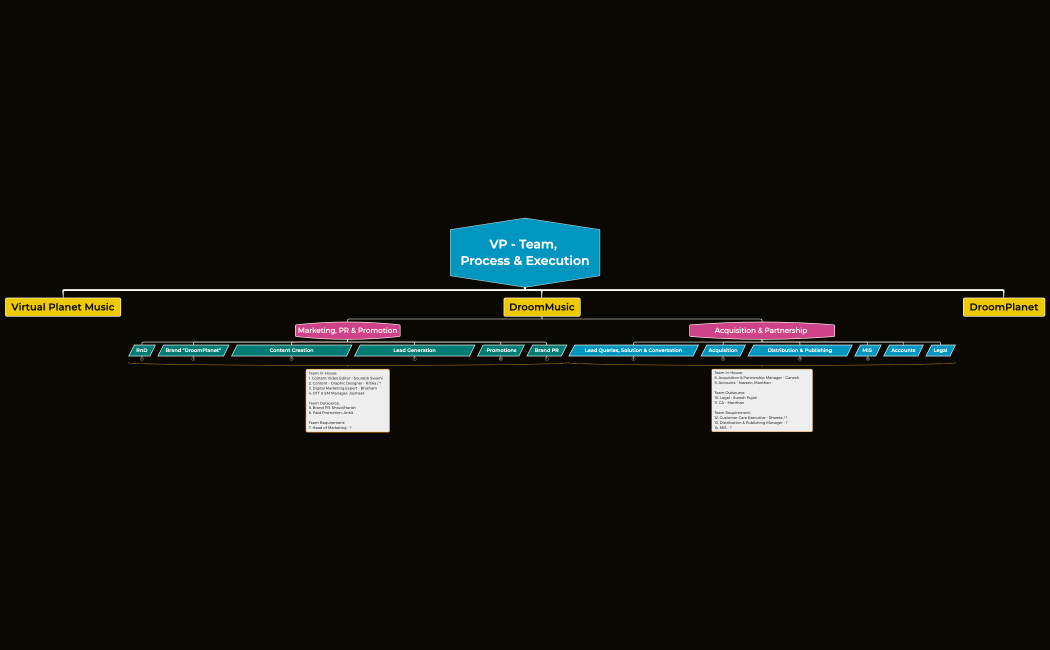 VP - Team, Process & Execution