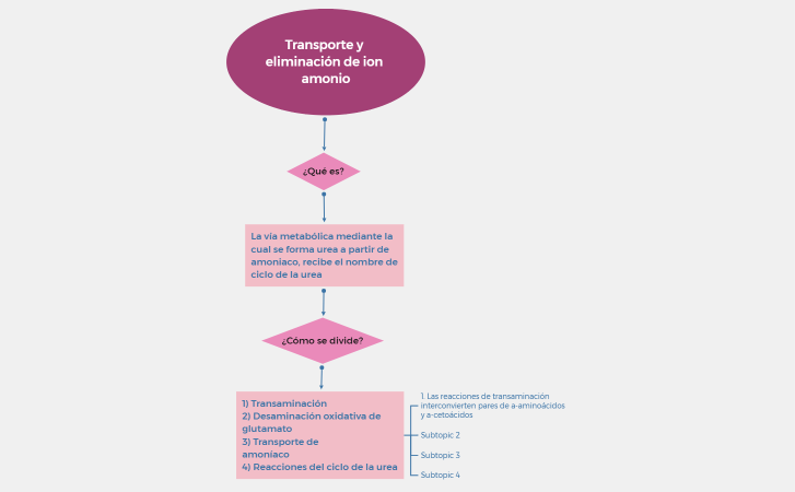 ADA 7 bioquímica.xmind