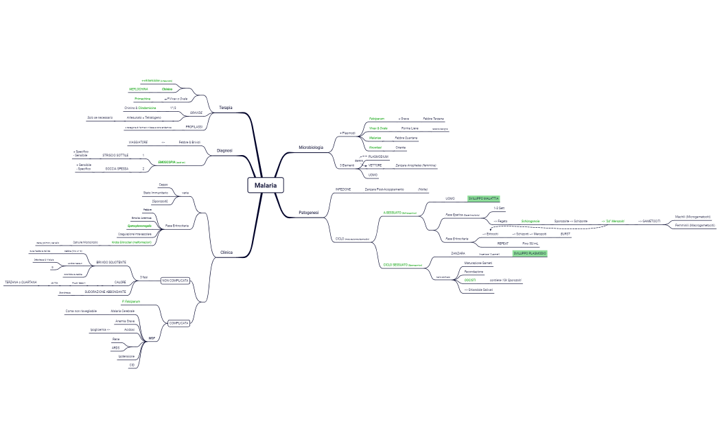 15. Antropozonoosi Parassitarie (protozoi)