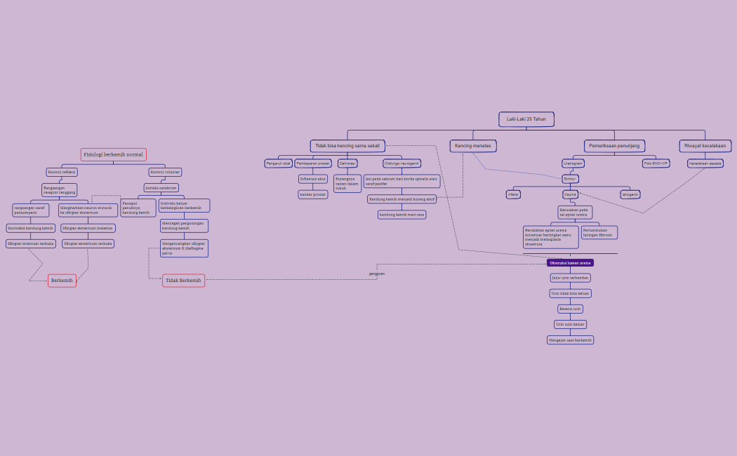 Laki-Laki 20 Tahun fix 1