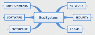 STB EcoSystem