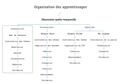Organisation des apprentissages