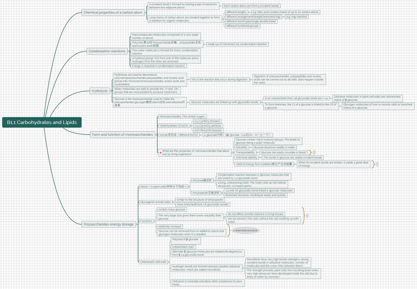B1.1 Carbohydrates and Lipids