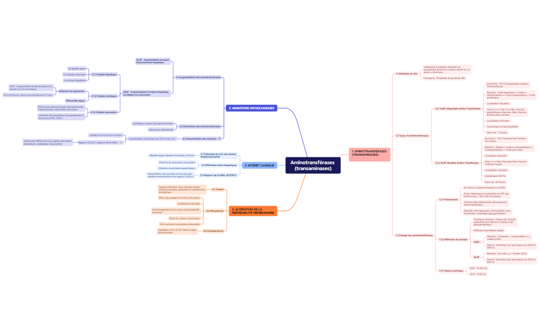 aminotransférases (transaminases)