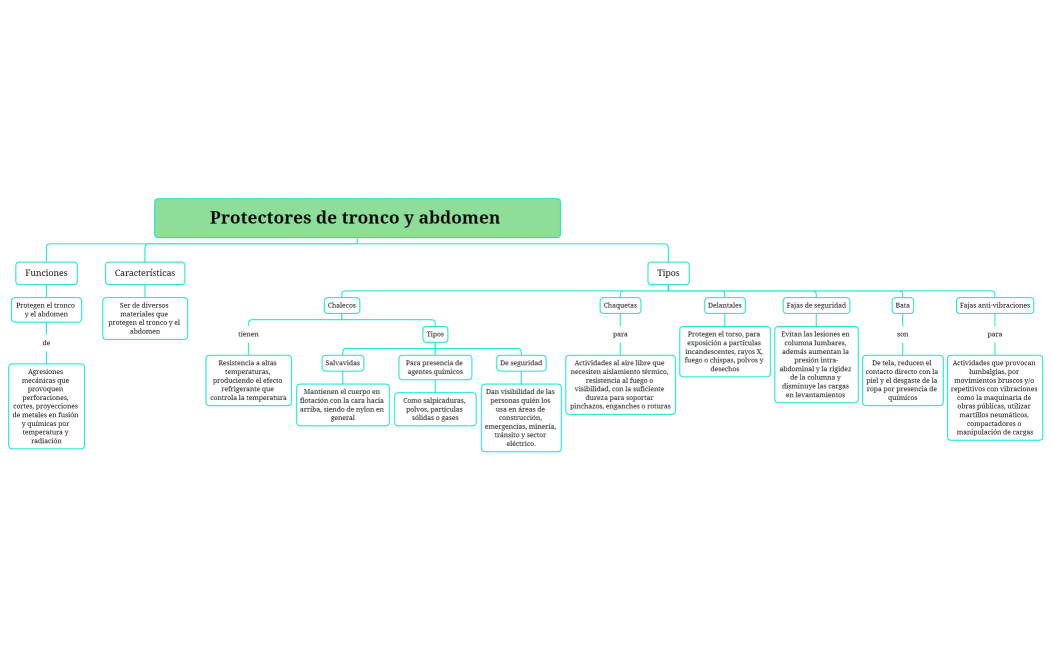 Protectores de tronco y abdomen_mapa_syst
