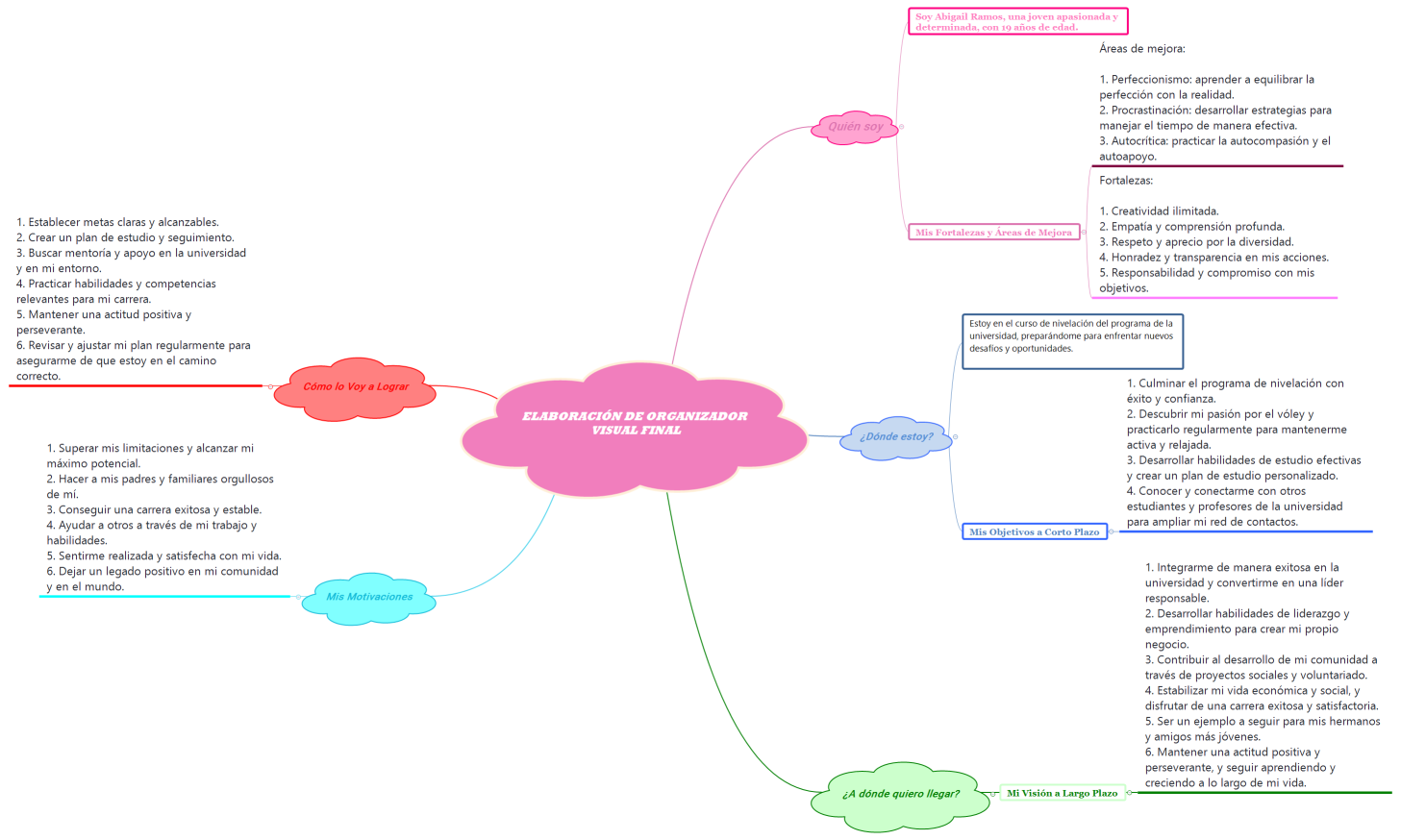 Elaboración de organizador visual final