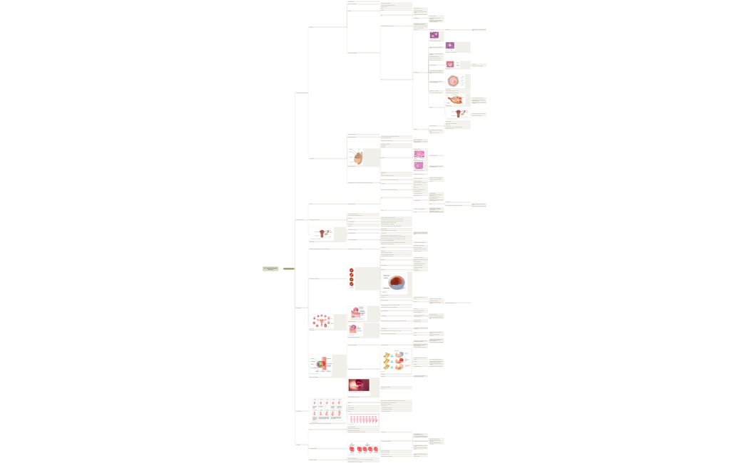 H1 Voortplanting bij de mens