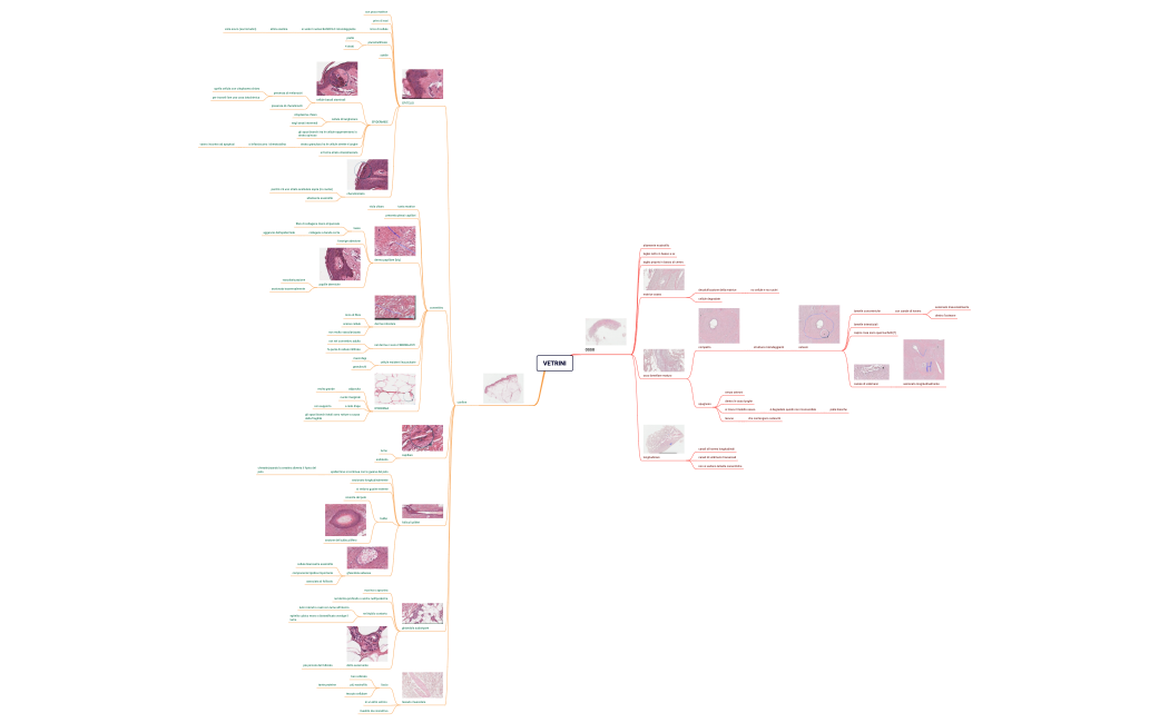 VETRINI