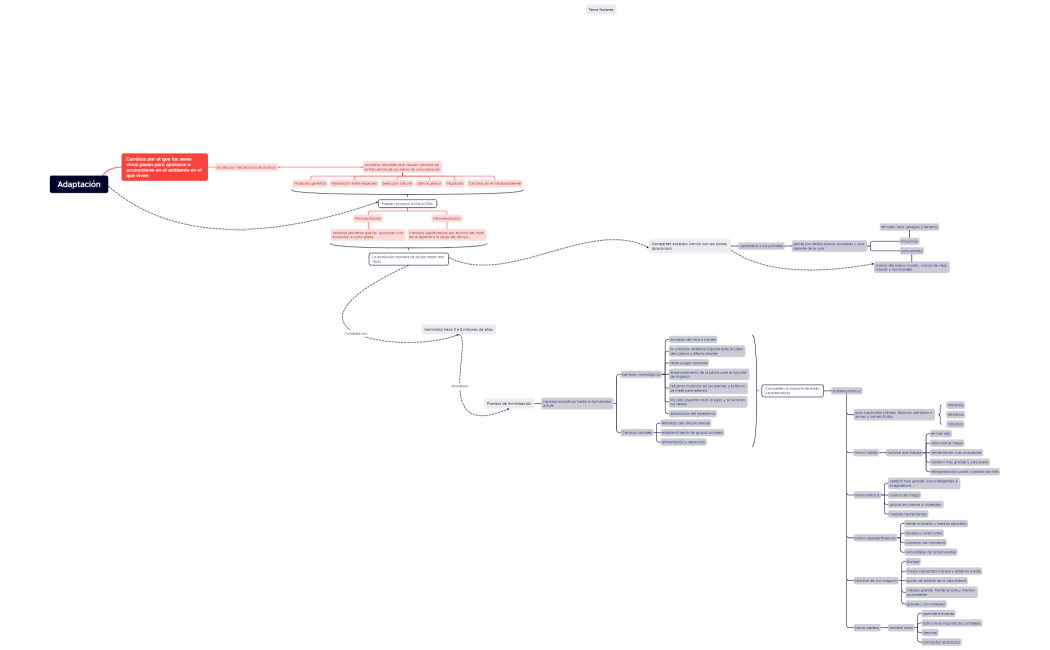 Adaptación