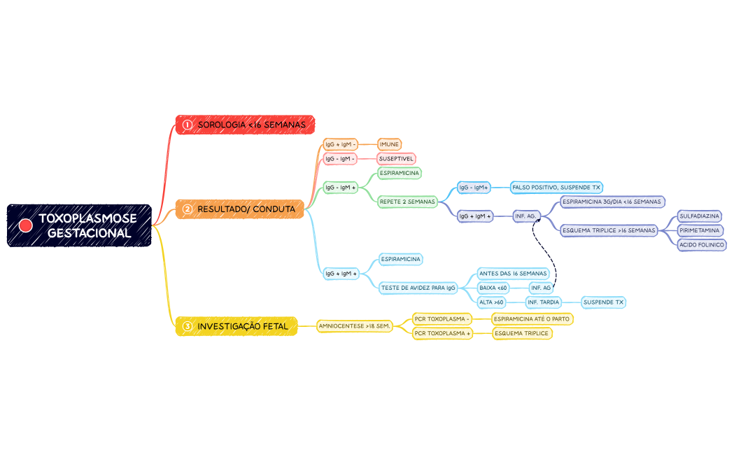 TOXOPLASMOSE GESTACIONAL