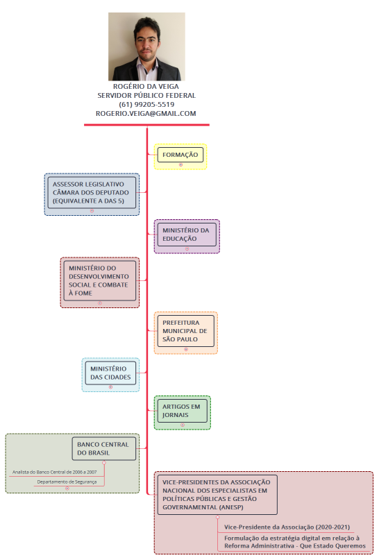 Currículo de Rogério da Veiga 