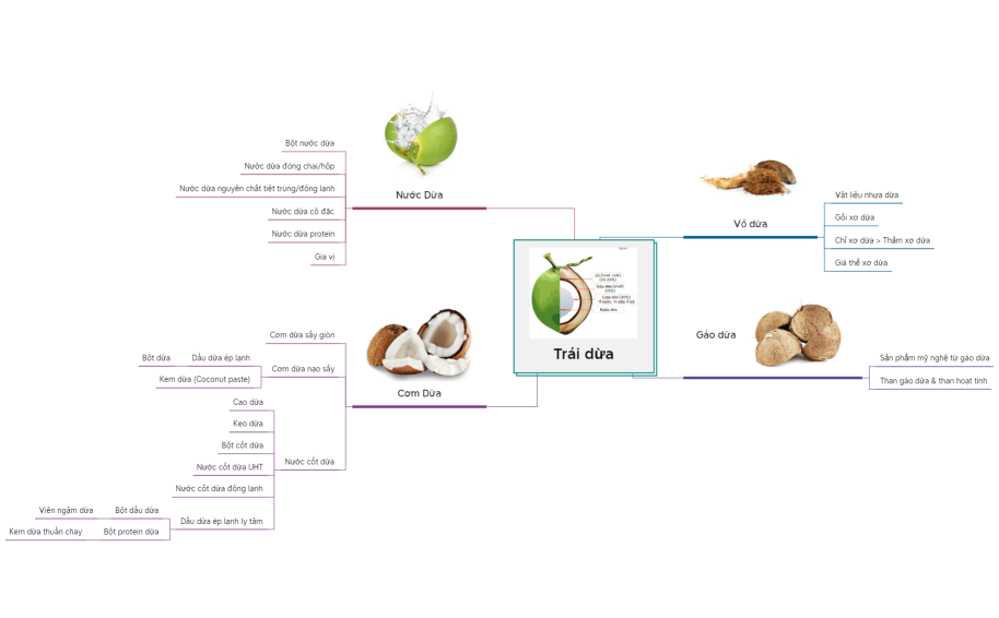 Sản phẩm từ trái dừa