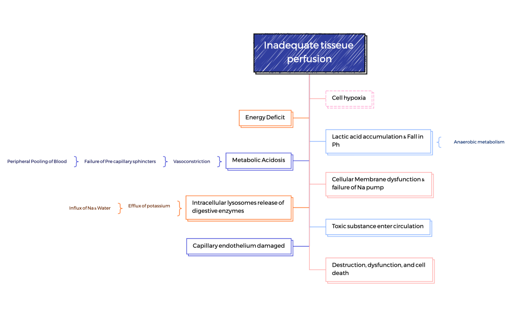 Pathophysiology of SHock