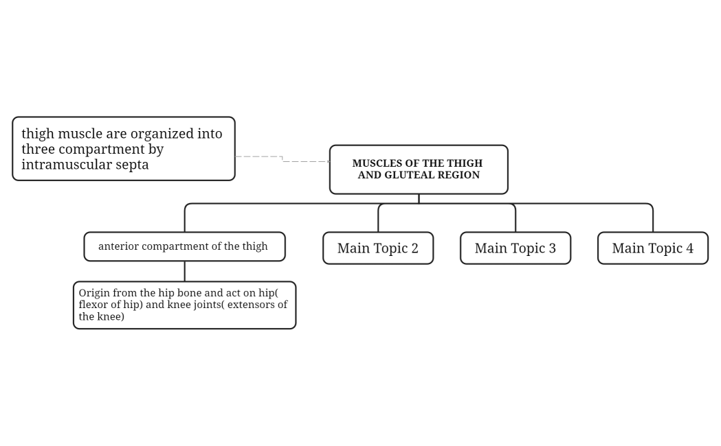 MUSCLES OF THE THIGH AND GLUTEAL REGION
