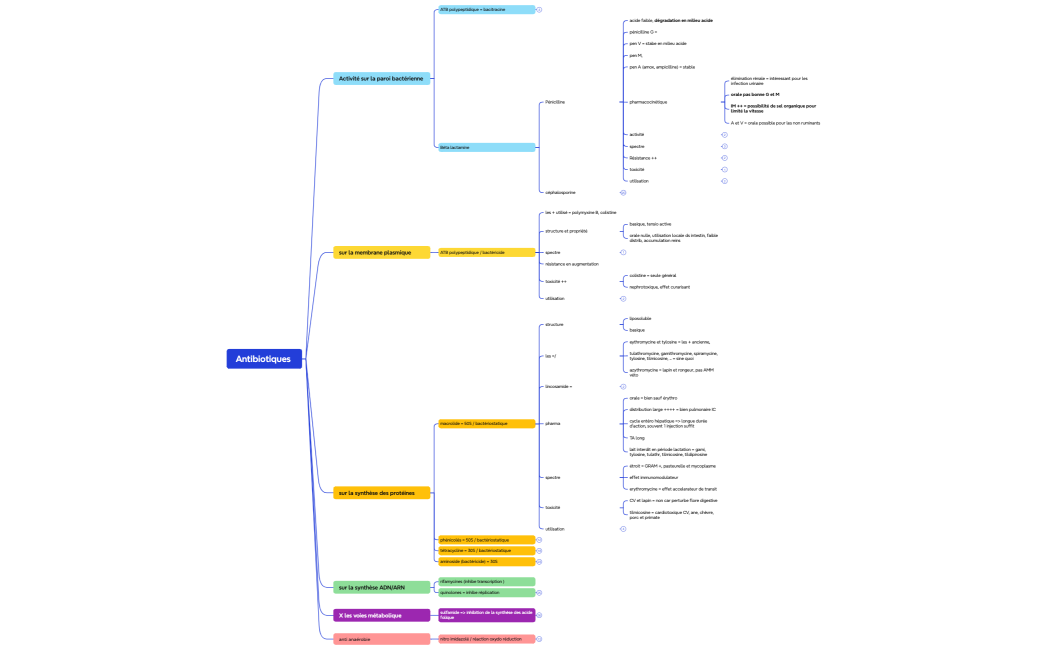 Carte mentale de logique
