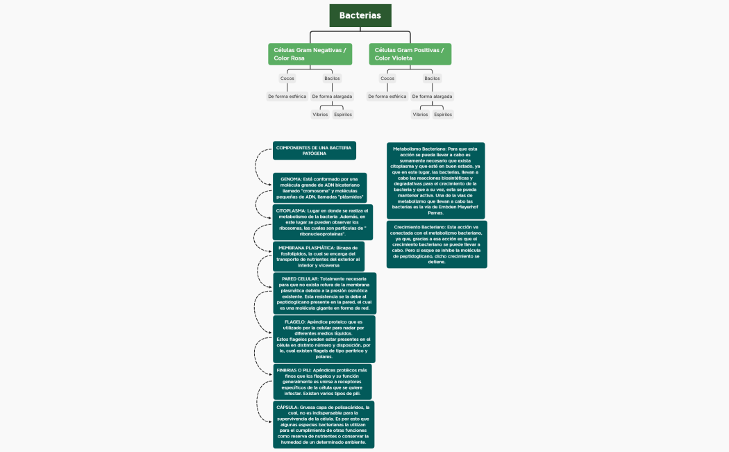 (APM Semana 2) Microbiología