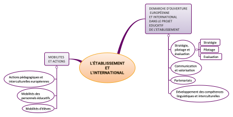 L'établissement et l'international