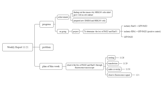 2022.11.28 weekly report