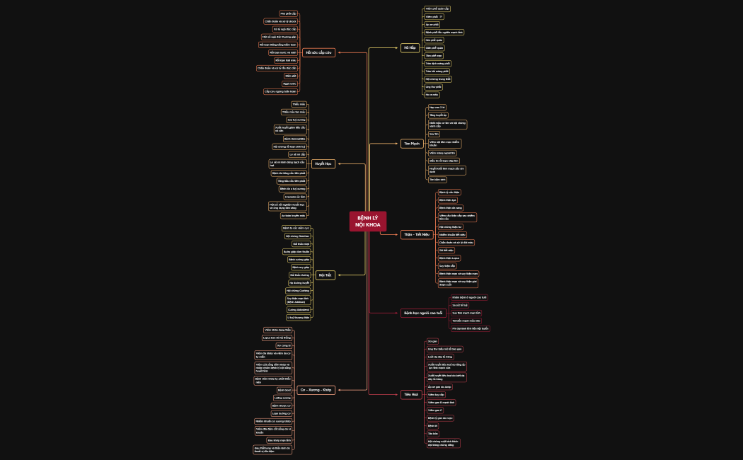 BỆNH LÝ NỘI KHOA.xmind