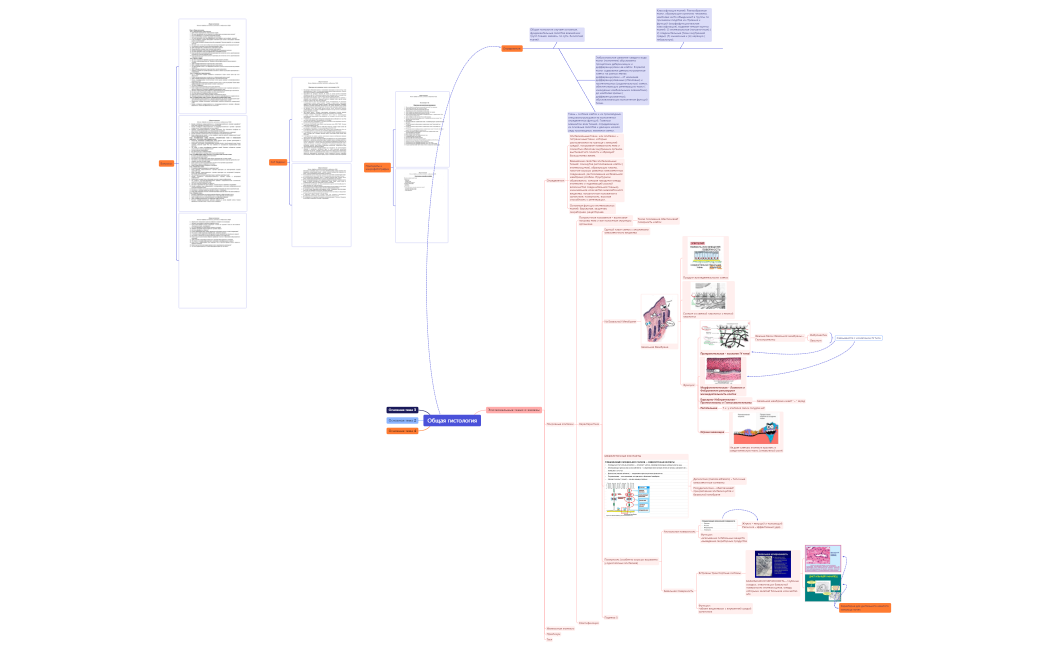 Коллоквиум №2.xmind