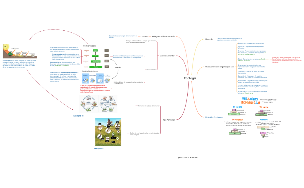 Mind Map