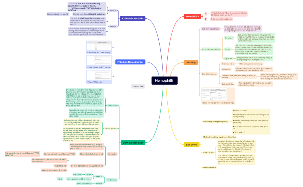 Mind Map