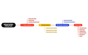 Rational Decision Making Model - Senior Manager