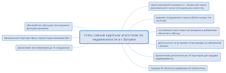 стать самым крупным агенством по недвижимости в г.Батуми