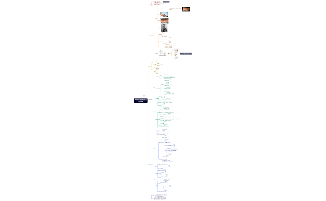 大面積燒傷之植皮術後身心照護